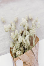 Load image into Gallery viewer, Dried Flowers Natural Phalaris Grass Bunch
